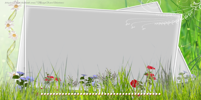 Felicitari personalizate de la multi ani - Felicitare cu flori, poza si text