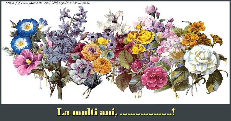 Felicitari personalizate de la multi ani - La multi ani, ...! - Fundal cu diverse flori