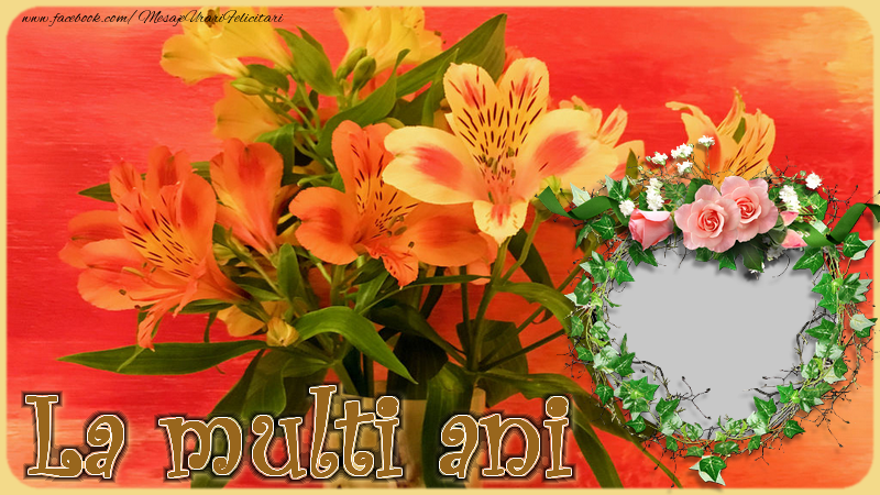 Felicitari personalizate de la multi ani - La multi ani!