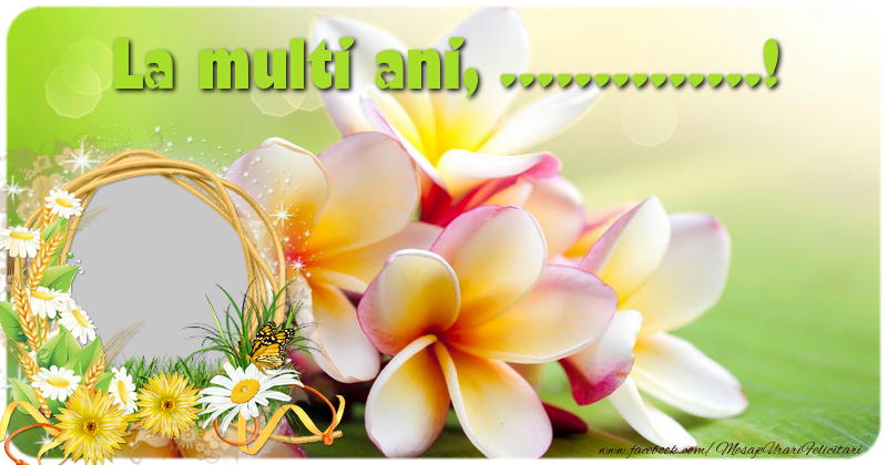Felicitari personalizate de la multi ani - La multi ani, ...!