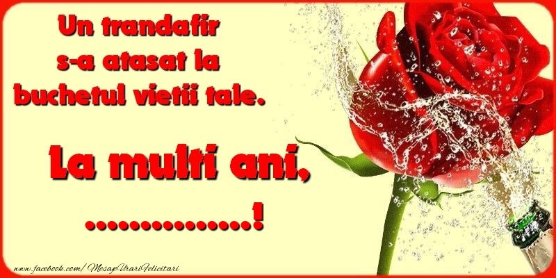 Felicitari personalizate de la multi ani - Un trandafir s-a atasat la buchetul vietii tale. ...