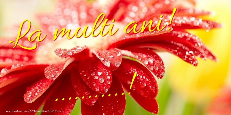 Felicitari personalizate de la multi ani - La multi ani! ...