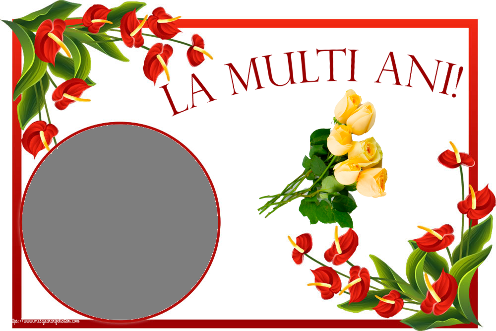 Felicitari personalizate de la multi ani - Flori & 1 Poza & Ramă Foto | La multi ani! - Rama foto ~ șapte trandafiri galbeni