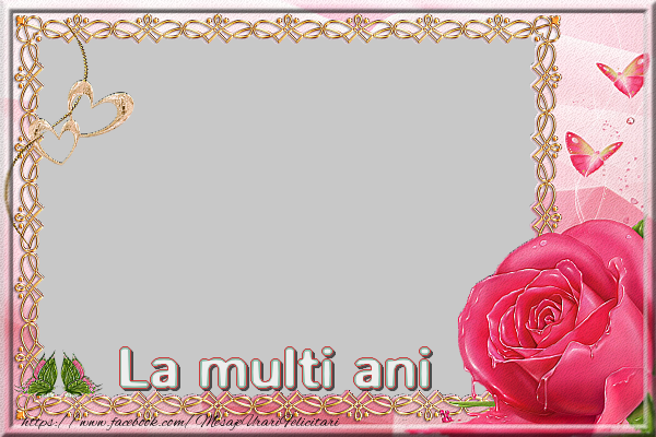 Felicitari personalizate de la multi ani - La multi ani - Ramă foto fluturași, inimioare si trandafir roz