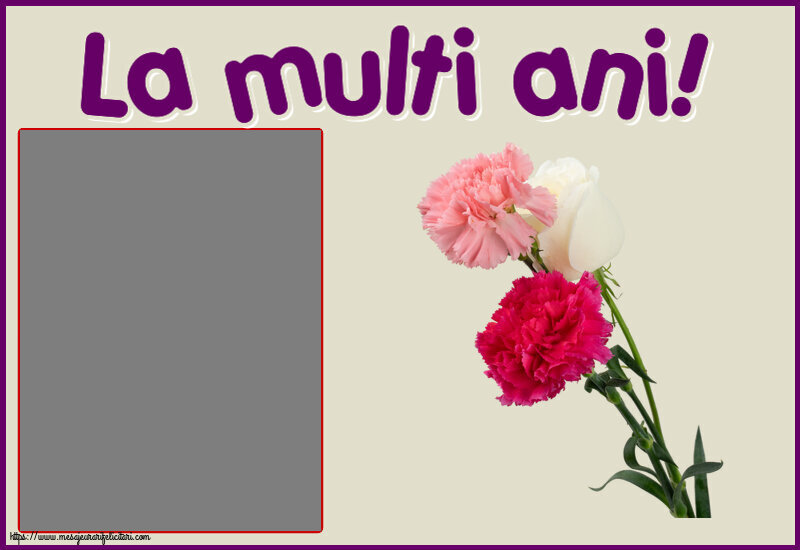 Felicitari personalizate de la multi ani - Flori & 1 Poza & Ramă Foto | La multi ani! - Rama foto