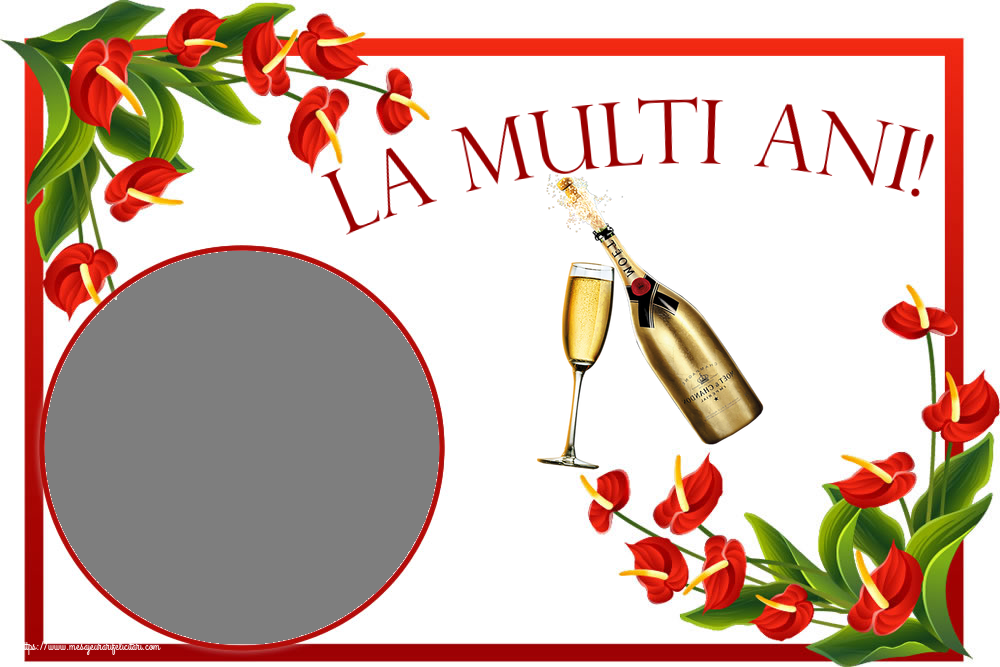 Felicitari personalizate de la multi ani - Sampanie & 1 Poza & Ramă Foto | La multi ani! - Rama foto ~ șampanie cu pahar