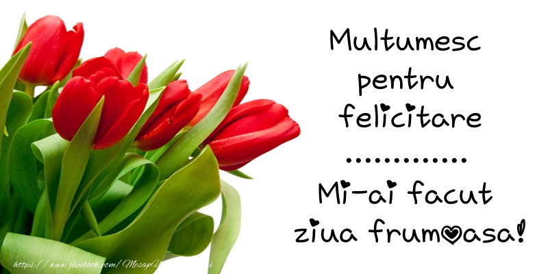 Felicitari personalizate de multumire - Multumesc pentru  felicitare ...! Mi-ai facut  ziua frumoasa!