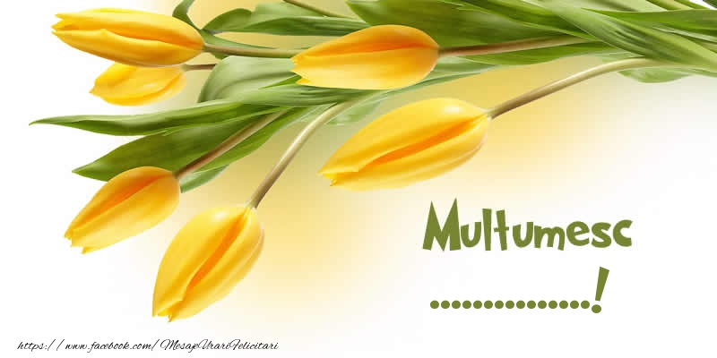 Felicitari personalizate de multumire - Multumesc ...!