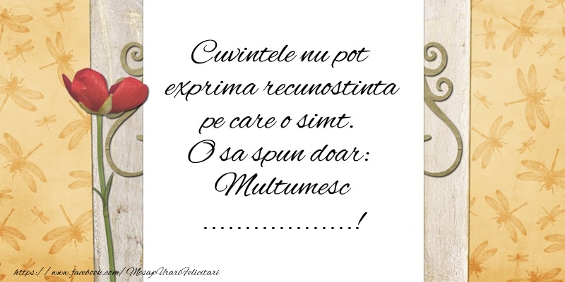 Felicitari personalizate de multumire - Cuvintele nu pot exprima recunostinta pe care o simt. O sa spun doar:  Multumesc ...!