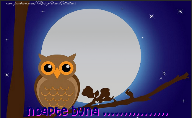 Felicitari personalizate de noapte buna - Luna & Animație & 1 Poza & Ramă Foto | Noapte buna ...