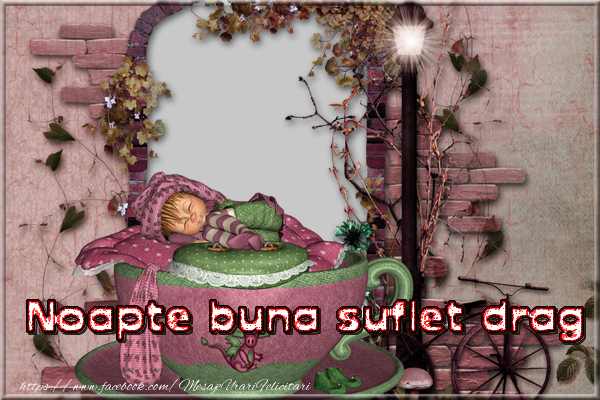 Felicitari personalizate de noapte buna - Animație & Flori & 1 Poza & Ramă Foto | Noapte buna suflet drag