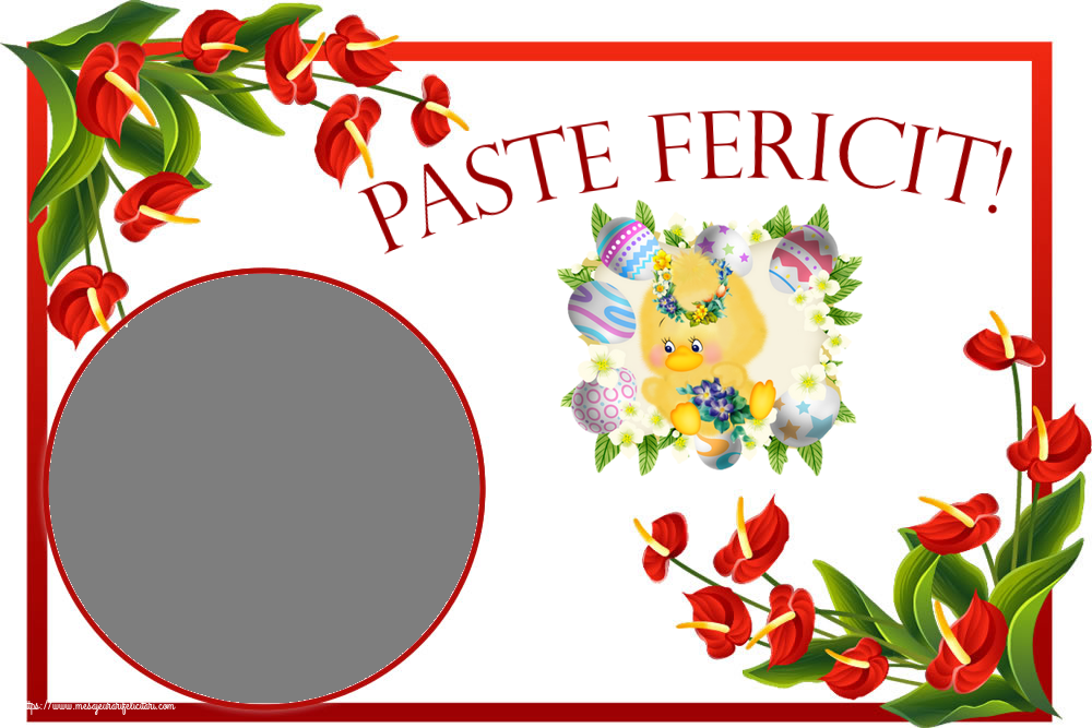 Felicitari personalizate de Paste - Puisor & 1 Poza & Ramă Foto | Paste Fericit! - Rama foto ~ aranjament cu puișor, ouă și flori