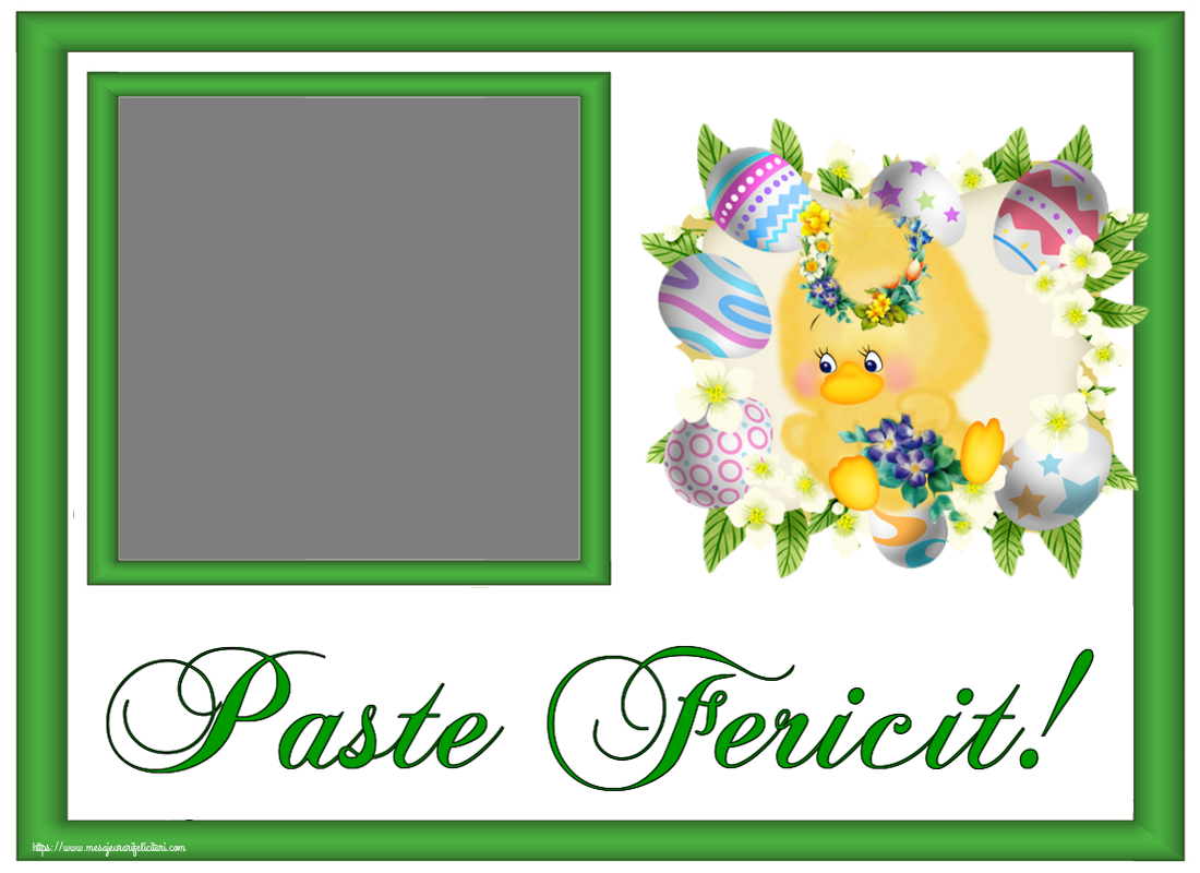 Felicitari personalizate de Paste - Puisor & 1 Poza & Ramă Foto | Paste Fericit! - Personalizeaza cu poza ta de profil facebook ~ aranjament cu puișor, ouă și flori