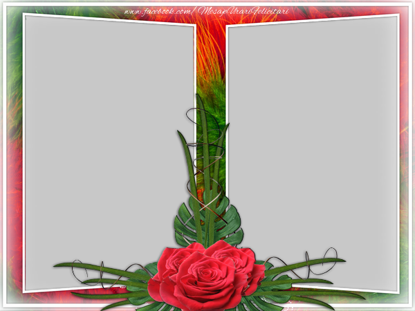 Felicitari personalizate cu poza ta - 🌹 Trandafiri & 2 Poze & Ramă Foto | Rama foto cu flori