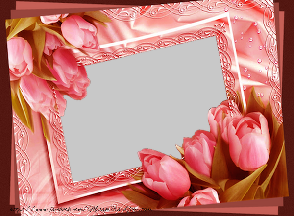 Felicitari personalizate cu poza ta - 🌼🥳 Flori & 1 Poza & Ramă Foto | Felicitare cu poza
