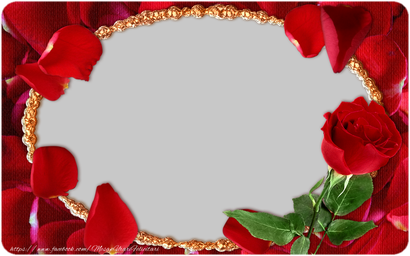 Felicitari personalizate cu poza ta - 🌹 Rama foto cu trandafiri
