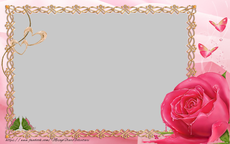 Felicitari personalizate cu poza ta - ❤️❤️❤️ Inimioare & Trandafiri & 1 Poza & Ramă Foto | Trandafirul roz.