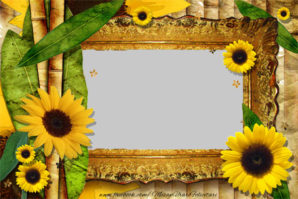 Felicitari personalizate cu poza ta - Rama foto floarea soarelui