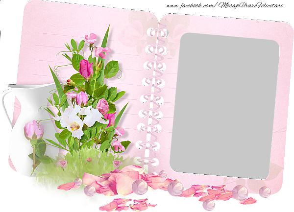 Felicitari personalizate cu poza ta - Album foto cu flori.