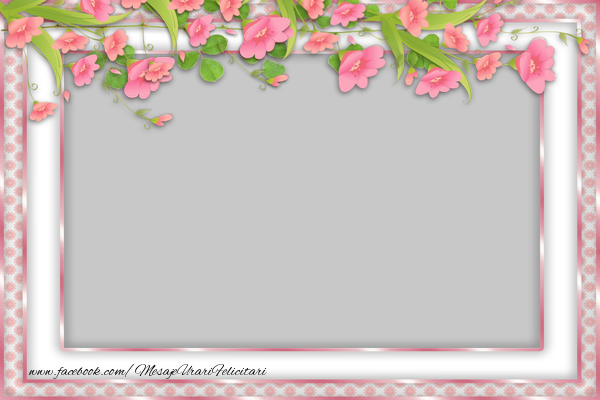 Felicitari personalizate cu poza ta - Rama foto - Ramă frumoasă cu flori roz