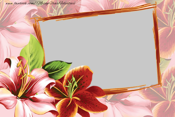 Felicitari personalizate cu poza ta - Rama foto cu flori