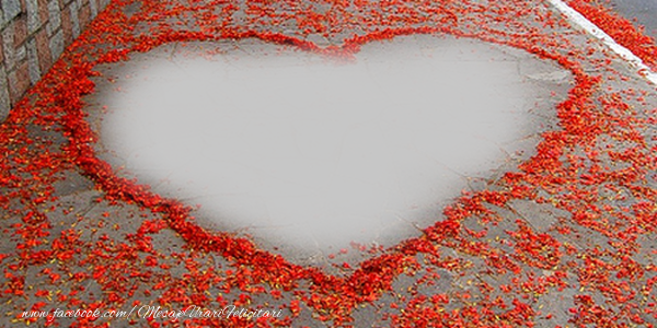 Felicitari personalizate cu poza ta - ❤️❤️❤️ Inimioare & 1 Poza & Ramă Foto | Inima pe asfalt