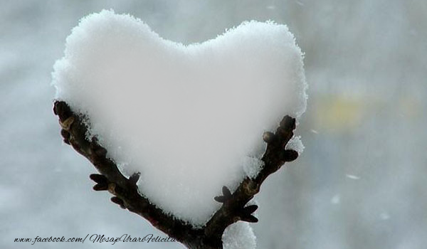 Felicitari personalizate cu poza ta - ❤️❤️❤️ Inimioare & 1 Poza & Ramă Foto | Inima de zapada