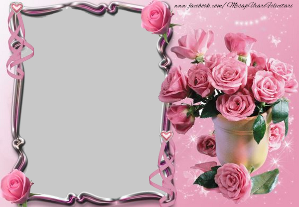 Felicitari personalizate cu poza ta - Flori & 1 Poza & Ramă Foto | Trandafiri roz