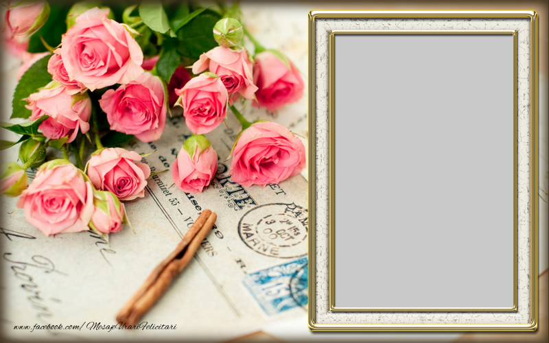Felicitari personalizate cu poza ta - 🌹 Trandafiri & 1 Poza & Ramă Foto | Rama foto