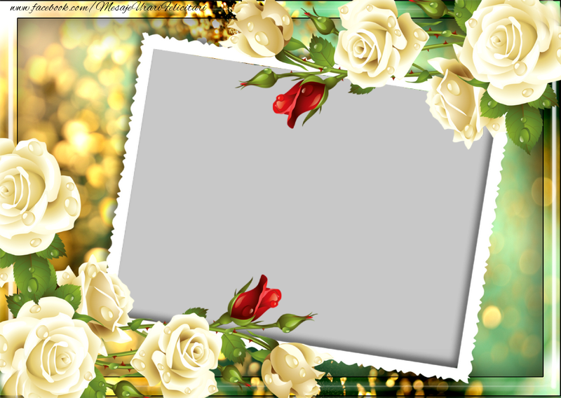 Felicitari personalizate cu poza ta - Trandafiri & 1 Poza & Ramă Foto | Rama foto