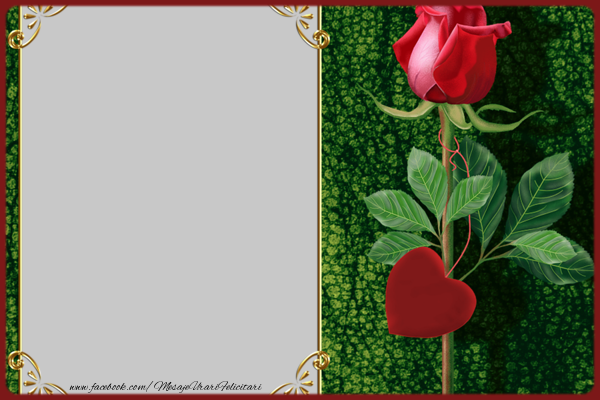 Felicitari personalizate cu poza ta - 🌹 Trandafiri & 1 Poza & Ramă Foto | Poza cu trandafir