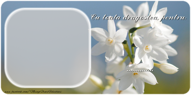 Felicitari personalizate de prietenie - Cu toata dragostea, pentru ...