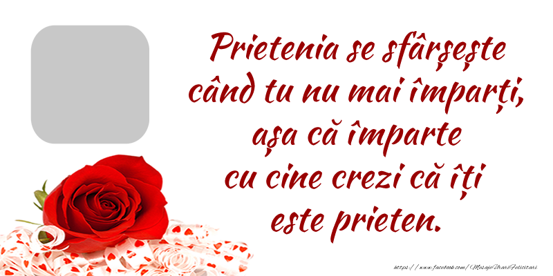 Felicitari personalizate de prietenie - Trandafiri & 1 Poza & Ramă Foto | Mesajul tau pentru prieteni