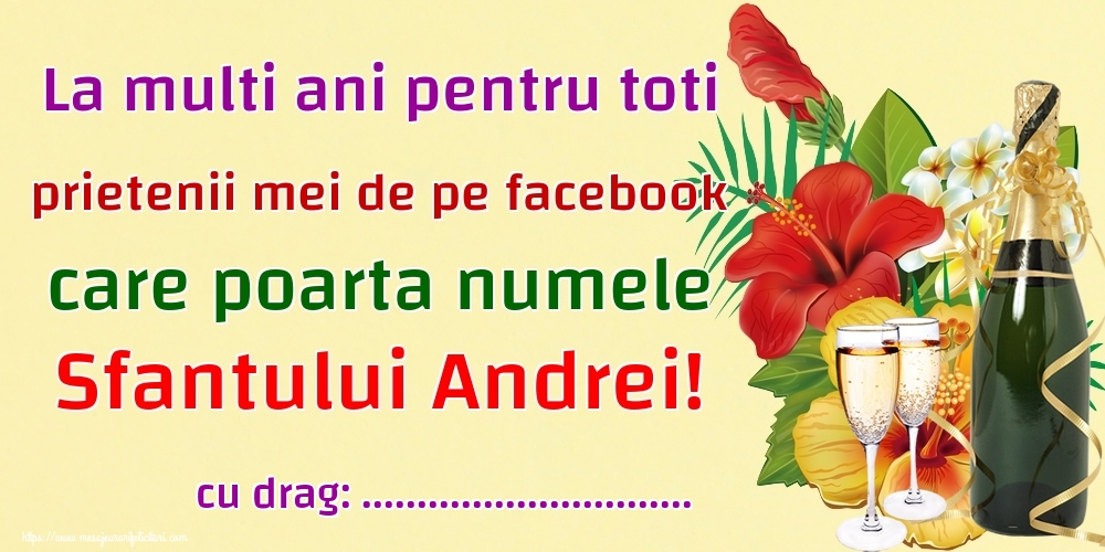 Felicitari personalizate de Sfantul Andrei - La multi ani pentru toti prietenii mei de pe facebook care poarta numele Sfantului Andrei! ...!