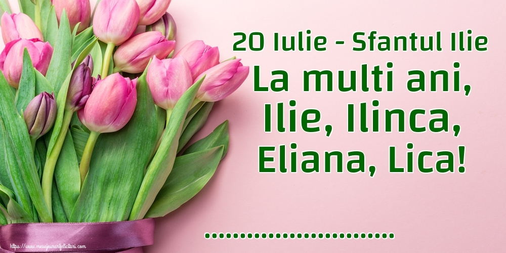 Felicitari personalizate de Sfantul Ilie - Lalele | 20 Iulie - Sfantul Ilie La multi ani, Ilie, Ilinca, Eliana, Lica! ...