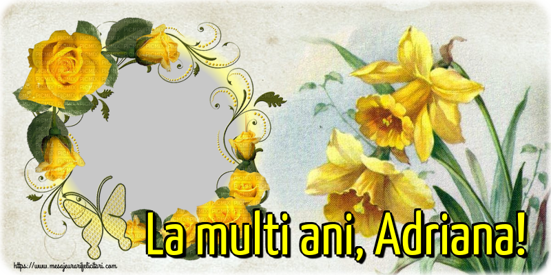 Felicitari personalizate de Sfintii Adrian si Natalia - La multi ani, Adriana! - Rama foto