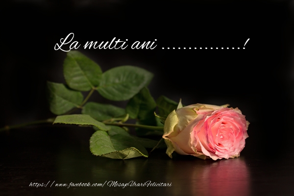 Felicitari personalizate de zi de nastere - Flori & Trandafiri & Femei & Doamne | La multi ani ...!