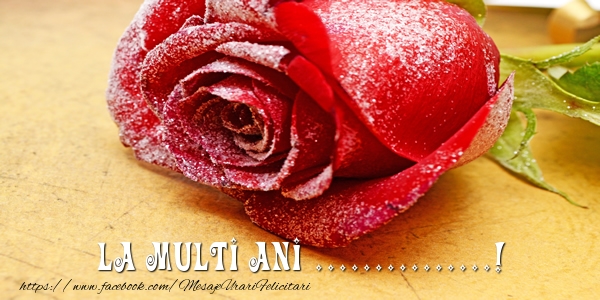 Felicitari personalizate de zi de nastere - Flori & Trandafiri | La multi ani ...!