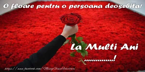 Felicitari personalizate de zi de nastere - O floare pentru o persoana deosebita! La multi ani ...!