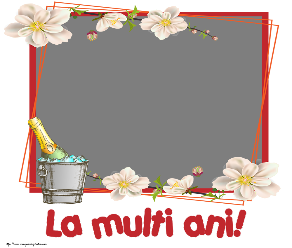Felicitari personalizate de zi de nastere - Rama foto cu sampanie si flori: La multi ani!