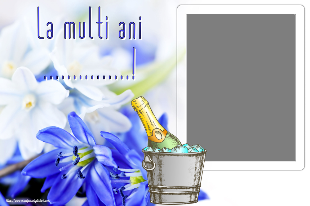 Felicitari personalizate de zi de nastere - La multi ani ...! - Rama foto ~ un desen cu șampanie în frapieră
