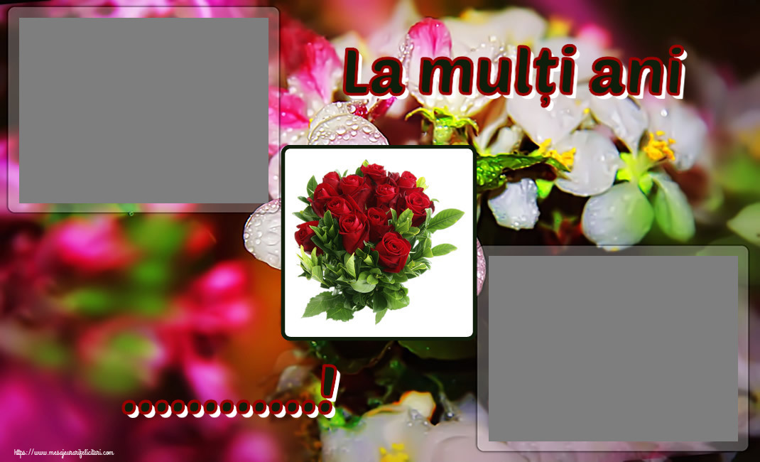 Felicitari personalizate de zi de nastere - Flori & 2 Poze & Ramă Foto & Femei | La mulți ani ...! - Rama foto