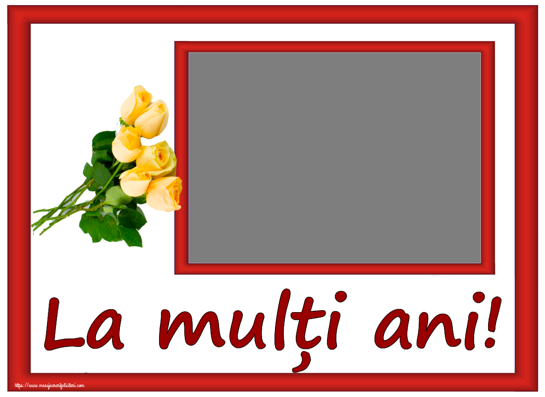 Felicitari personalizate de zi de nastere - Flori & 1 Poza & Ramă Foto | La mulți ani! - Rama foto