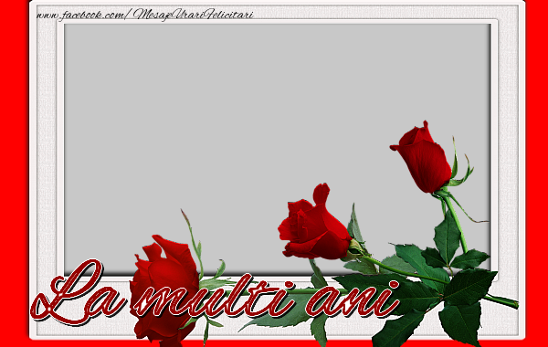 Felicitari personalizate de zi de nastere - Trandafiri & 1 Poza & Ramă Foto | La multi ani