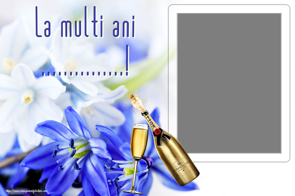 Felicitari personalizate de zi de nastere - La multi ani ...! - Rama foto ~ șampanie cu pahar
