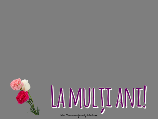 Felicitari personalizate de zi de nastere - La mulți ani! - Rama foto