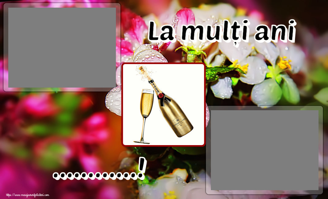 Felicitari personalizate de zi de nastere - Sampanie & 2 Poze & Ramă Foto & Bărbați & Domni | La mulți ani ...! - Rama foto ~ șampanie cu pahar