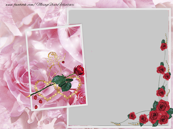 Felicitari personalizate Ziua indragostitilor - Trandafiri & 1 Poza & Ramă Foto | Rama foto Ziua indragostitilor