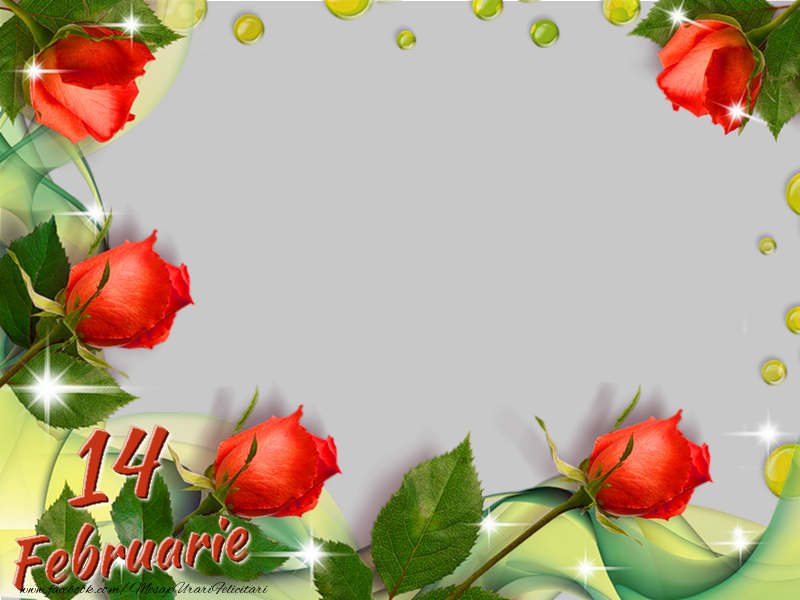 Felicitari personalizate Ziua indragostitilor - Trandafiri & 1 Poza & Ramă Foto | 14 Februarie - Ziua indragostitilor
