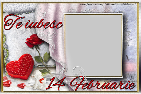 Felicitari personalizate Ziua indragostitilor - ❤️❤️❤️ Inimioare & Trandafiri & 1 Poza & Ramă Foto | 14 Februarie - Te iubesc